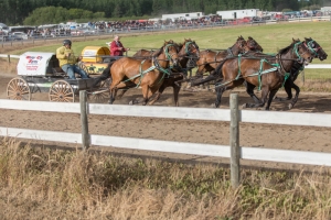 Porcupine-Plain-Rodeo-2017