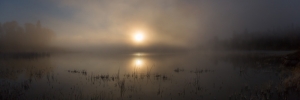 FINE ART PHOTOGRAPHY
