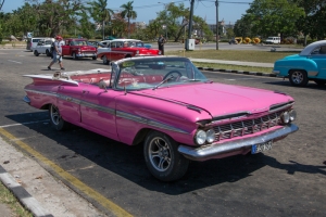 Cuba,-North-America,-Havana,-Revolutionary-Square,-Pink-Car,-Car,-Chevrolet