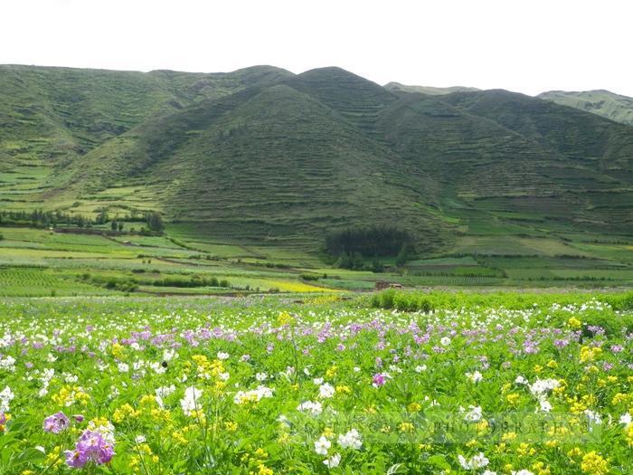 Peru