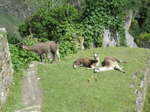 Peru