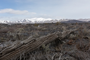 IDAHO