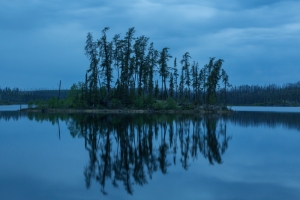 LANDSCAPES