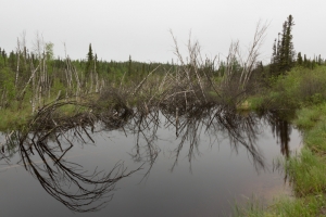 WATERBODIES