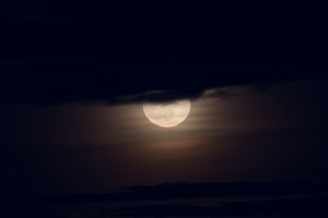 MOON